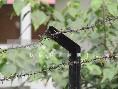 我信用卡逾期15天会上征信吗 我信用卡逾期15天会上征信吗