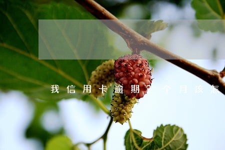 我信用卡逾期2个月该怎么办 我信用卡逾期2个月该怎么办
