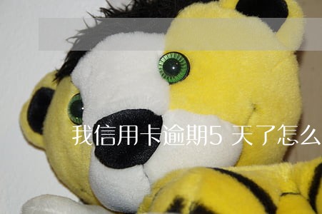 我信用卡逾期5天了怎么办 我信用卡逾期5天了怎么办