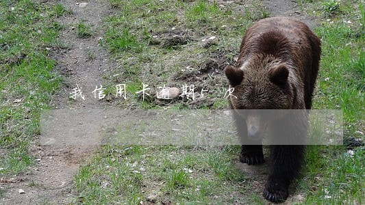 我信用卡逾期5次 我信用卡逾期5次