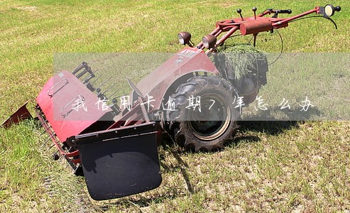 我信用卡逾期7年怎么办 我信用卡逾期7年怎么办