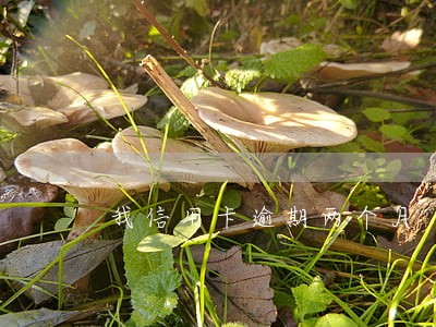 我信用卡逾期两个月 我信用卡逾期两个月