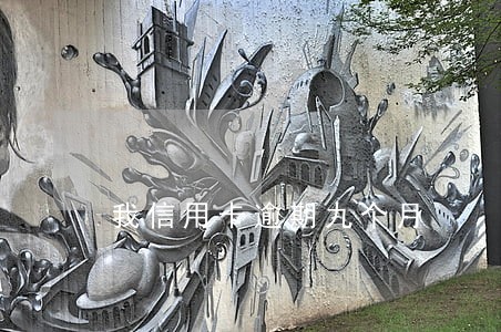 我信用卡逾期九个月 我信用卡逾期九个月