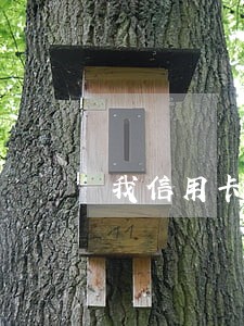 我信用卡逾期了3天怎么办 我信用卡逾期了3天怎么办