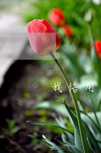 我信用卡逾期了卖房能贷款吗 我信用卡逾期了卖房能贷款吗
