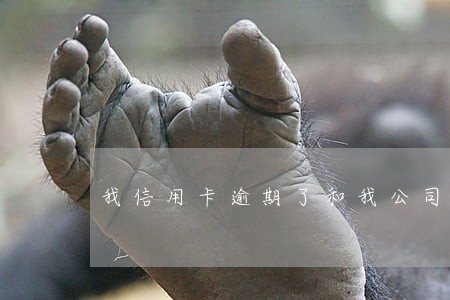 我信用卡逾期了和我公司有关系吗 我信用卡逾期了和我公司有关系吗
