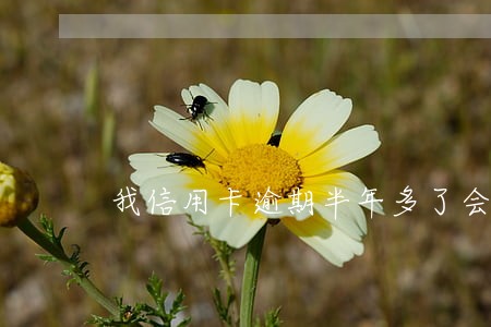 我信用卡逾期半年多了会坐牢么 我信用卡逾期半年多了会坐牢么