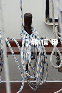 我信用卡逾期卡其他卡被冻结 我信用卡逾期卡其他卡被冻结