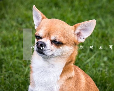 我信用卡逾期对象可以买房吗 我信用卡逾期对象可以买房吗