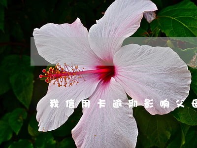 我信用卡逾期影响父母贷款吗 我信用卡逾期影响父母贷款吗