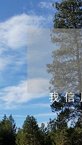 我信用卡逾期怎么贷款 我信用卡逾期怎么贷款