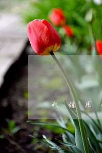 我信用卡逾期是十天才还