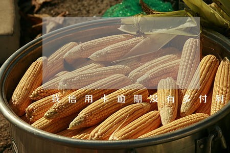 我信用卡逾期没有多付利息