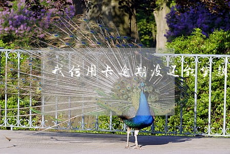 我信用卡逾期没还能贷款吗 我信用卡逾期没还能贷款吗