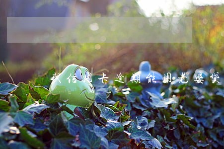 我信用卡逾期能用老婆贷款吗 我信用卡逾期能用老婆贷款吗