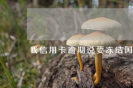 我信用卡逾期说要冻结国内银行