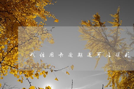 我信用卡逾期过可以领彩票 我信用卡逾期过可以领彩票