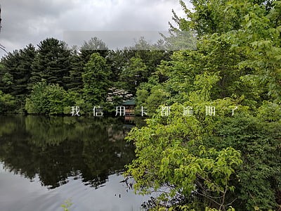 我信用卡都逾期了