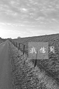 我信用贷款逾期找什么样的律师 我信用贷款逾期找什么样的律师