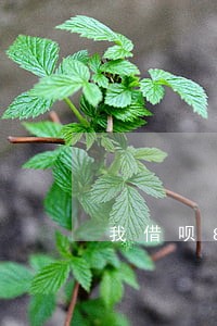 我借呗80000逾期一年 我借呗80000逾期一年