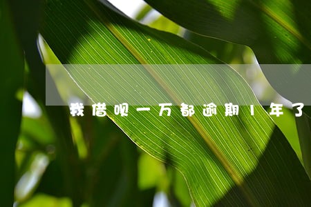我借呗一万都逾期1年了 我借呗一万都逾期1年了