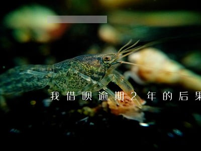 我借呗逾期2年的后果 我借呗逾期2年的后果