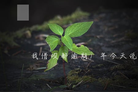 我借呗都逾期1年今天说会上门