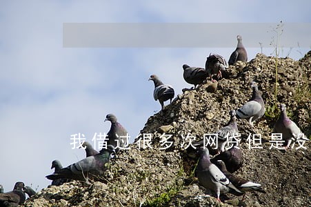 我借过很多次网贷但是没有逾期过 我借过很多次网贷但是没有逾期过
