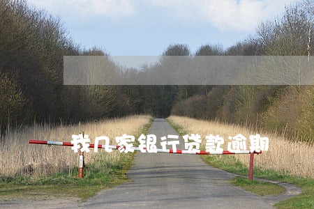 我几家银行贷款逾期 我几家银行贷款逾期