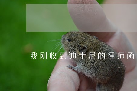 我刚收到迪士尼的律师函告我侵权 我刚收到迪士尼的律师函告我侵权