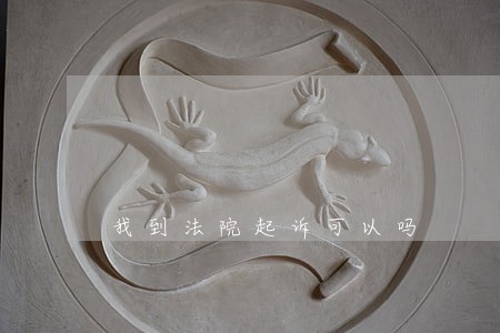 我到法院起诉可以吗 我到法院起诉可以吗