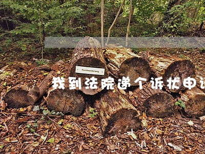 我到法院递个诉状申请司法鉴定 我到法院递个诉状申请司法鉴定