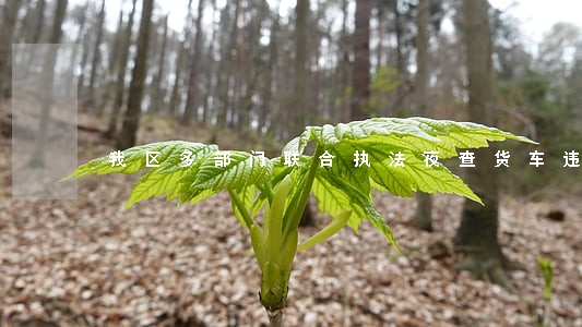 我区多部门联合执法夜查货车违法 我区多部门联合执法夜查货车违法