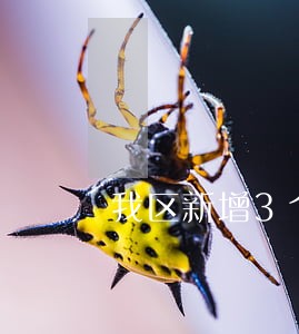 我区新增3个交通违法处理大厅 我区新增3个交通违法处理大厅