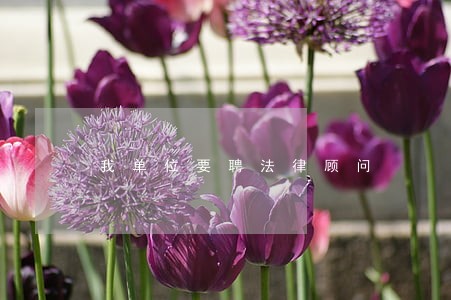 我单位要聘法律顾问 我单位要聘法律顾问