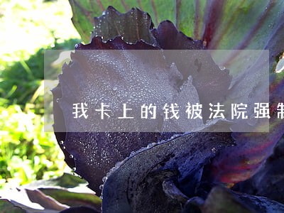 我卡上的钱被法院强制扣除 我卡上的钱被法院强制扣除