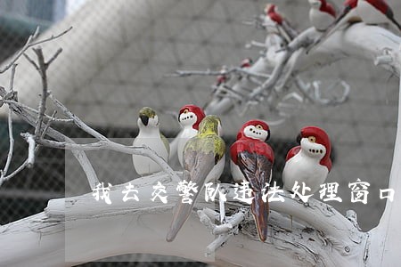 我去交警队违法处理窗口开学习单