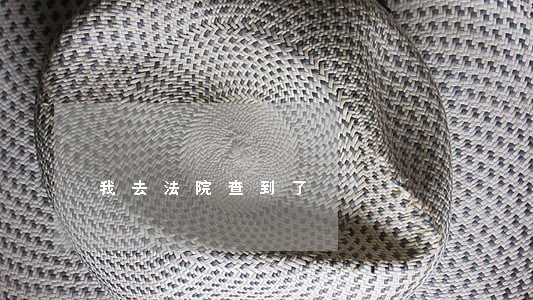 我去法院查到了 我去法院查到了