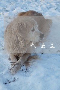 我去立案没让交诉讼费