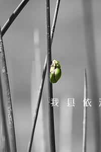 我县依法查封一家违法排污企业 我县依法查封一家违法排污企业