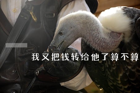我又把钱转给他了算不算违法 我又把钱转给他了算不算违法