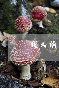 我又请不起律师该怎么办 我又请不起律师该怎么办