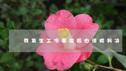我发生工伤事故后由法院判决 我发生工伤事故后由法院判决