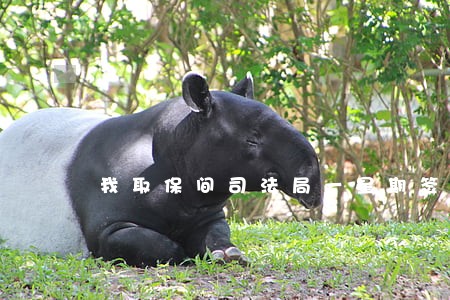 我取保间司法局一星期签到一次 我取保间司法局一星期签到一次