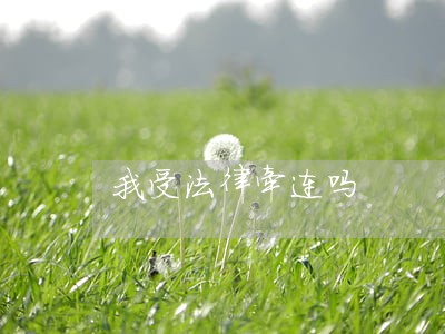 我受法律牵连吗 我受法律牵连吗