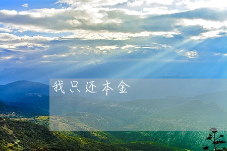 我只还本金 我只还本金