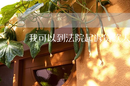 我可以到法院起诉贷款人吗 我可以到法院起诉贷款人吗