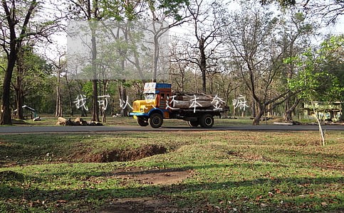 我可以只还本金嘛 我可以只还本金嘛