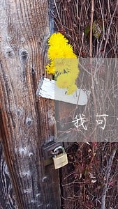 我可以起诉它违法吗 我可以起诉它违法吗