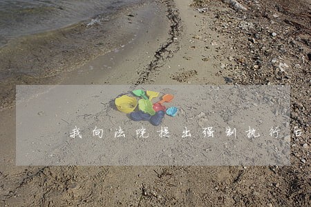 我向法院提出强制执行后 我向法院提出强制执行后